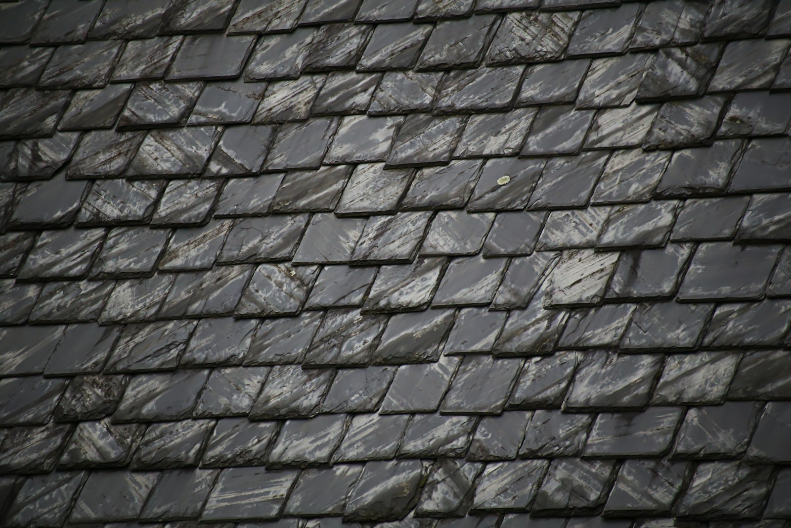 Stock photograph showing the texture and overlapping detail of slate roof tiles